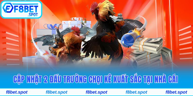 Cập nhật 2 đấu trường chọi kê xuất sắc tại nhà cái