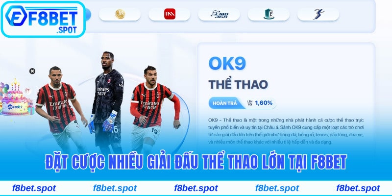 About Us F8bet 3 Đặt cược nhiều giải đấu thể thao lớn quốc tế