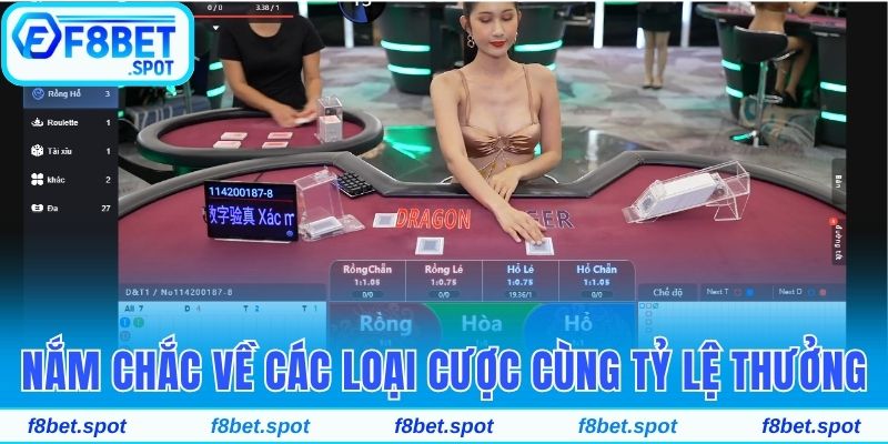 Tham Gia Rồng Hổ F8bet - Siêu Phẩm Casino Được Yêu Thích 3 Nắm chắc về các loại cược cùng tỷ lệ thưởng