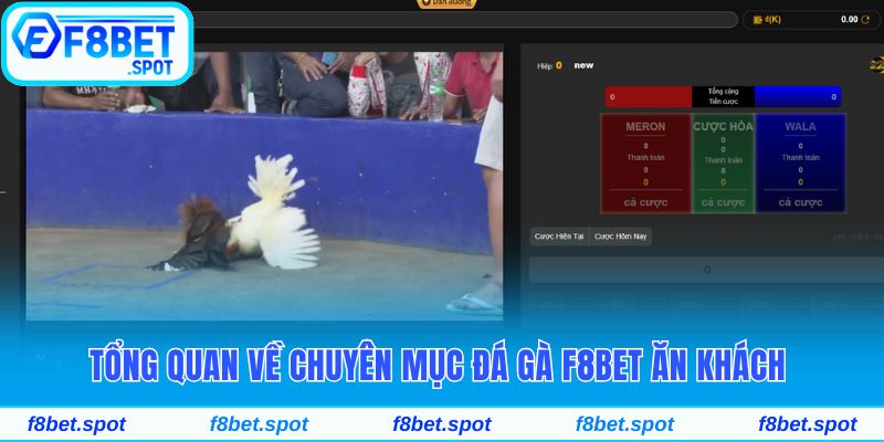 Tổng quan về chuyên mục đá gà F8bet ăn khách